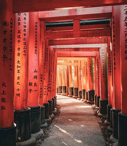 Japon, l'archipel des contrastes