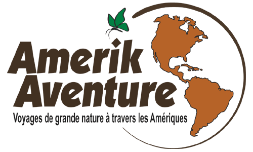 Amerik aventure